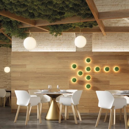 Applique Murale á LED Chamaleon Moss (10.5W)