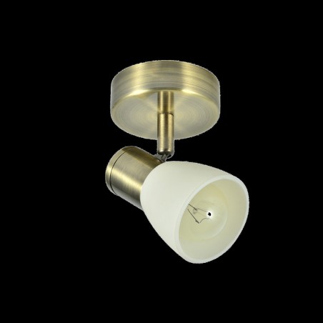 Spot de plafond Cholo II