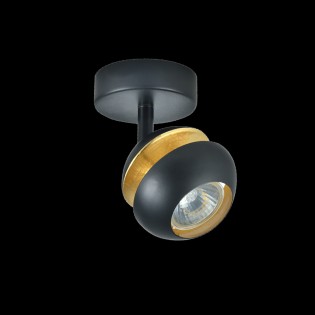 Spot de plafond Beethoven