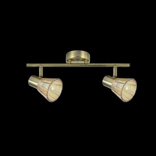 Réglette de plafond Cooper (2 Lumieres)