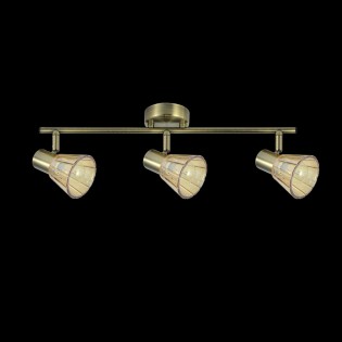 Réglette de plafond Cooper (3 Lumieres)