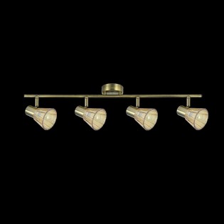 Réglette de plafond Cooper (4 Lumieres)