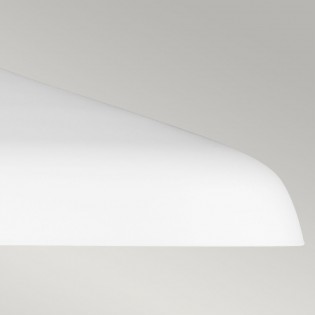 Lampe de plafond Darwin