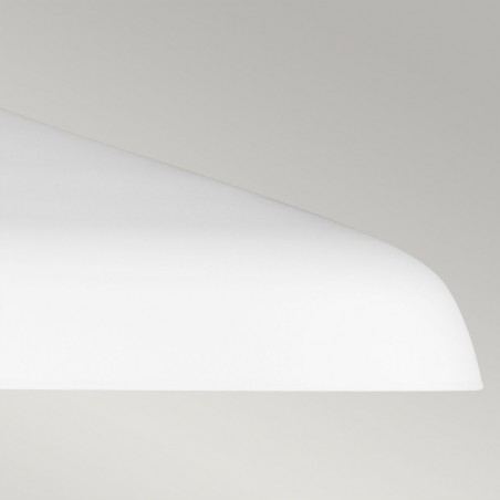 Lampe de plafond Darwin