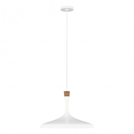 Lampe de plafond Darwin