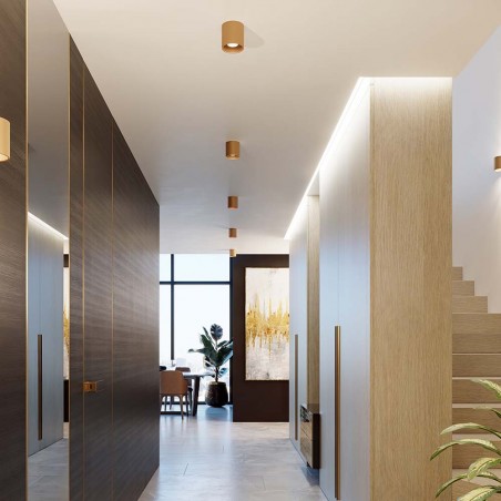 Spot de plafond Orbis