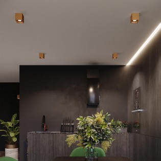 Spot de plafond Quad