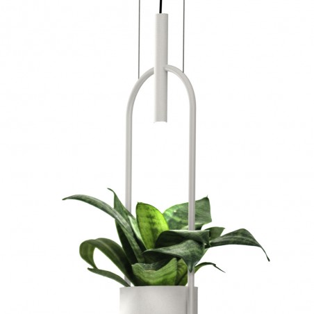 Lampe de plafond á LED Oxygen (3W)