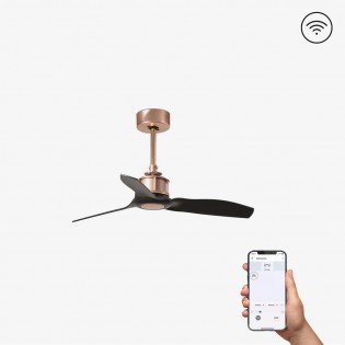 Ventilateur de plafond Mini Just Fan XS Smart