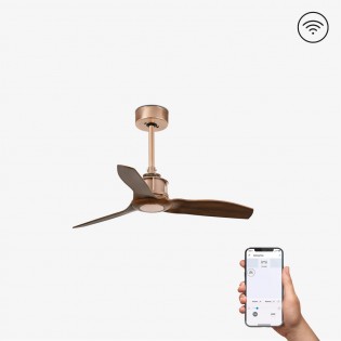 Ventilateur de plafond Mini Just Fan XS Smart