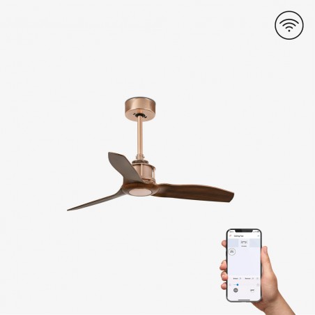Ventilateur de plafond Mini Just Fan XS Smart