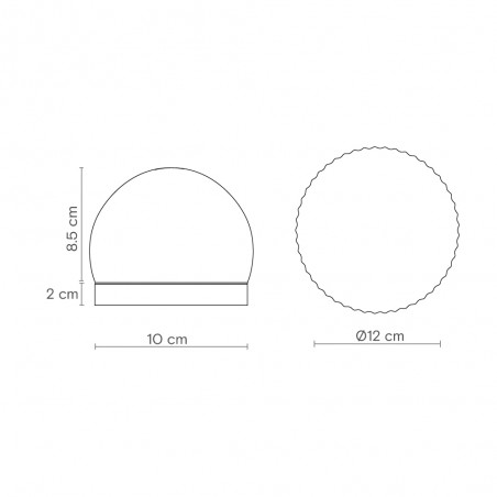 Applique Murale/Plafond Roi Fumé