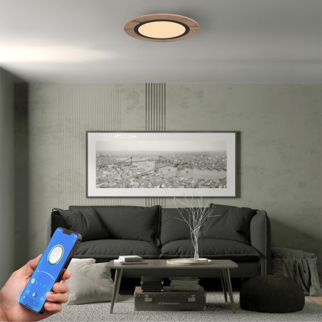 Plafonnier LED Hasbi CCT Smart (20W)