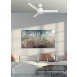 Ventilateur de plafond LED Torino CCT (24W)