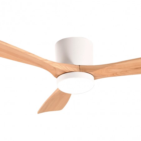 Ventilateur de plafond LED Celestine CCT Dim (18W)