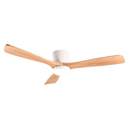 Ventilateur de plafond LED Celestine CCT Dim (18W)