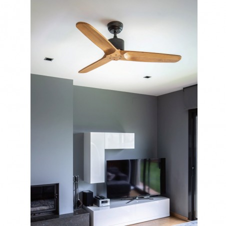 Ventilateur de plafond Etsian