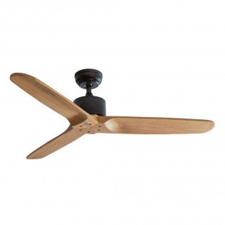 Ventilateur de plafond Etsian