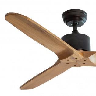 Ventilateur de plafond Etsian