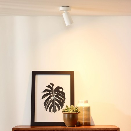 Spot de plafond LED Xyrus (5W)