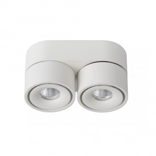 Plafonnier LED Yumiko (2x10W)