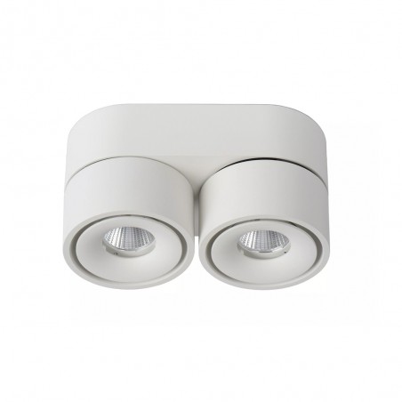 Plafonnier LED Yumiko (2x10W)