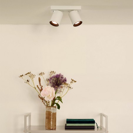 Bandeau du spots LED Nigel (2x5W)