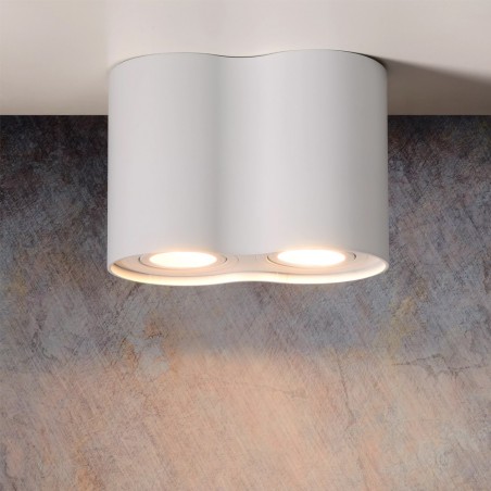 Plafonnier Tube (2 lumieres)