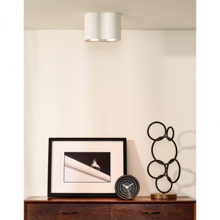 Plafonnier Tube (2 lumieres)