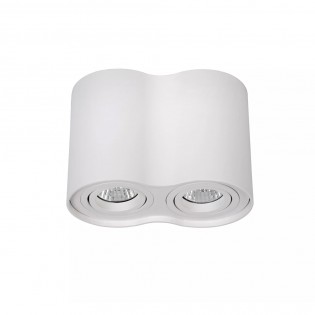 Plafonnier Tube (2 lumieres)