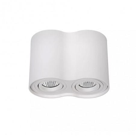 Plafonnier Tube (2 lumieres)