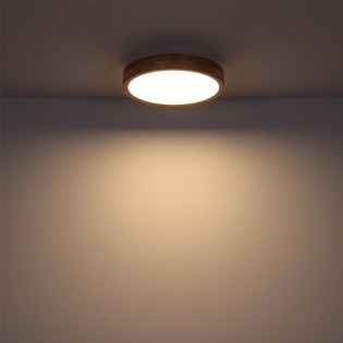 Plafónnier LED Rainer CCT (24W)