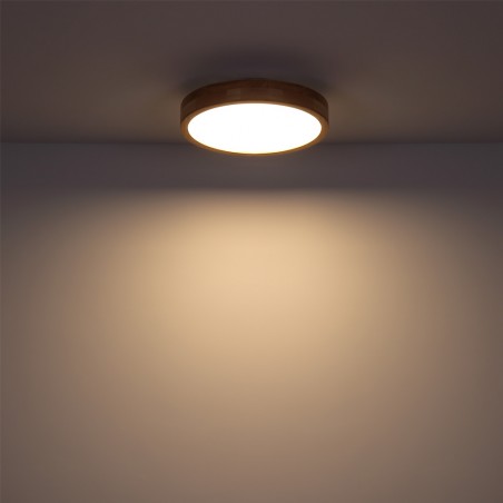 Plafónnier LED Rainer CCT (24W)