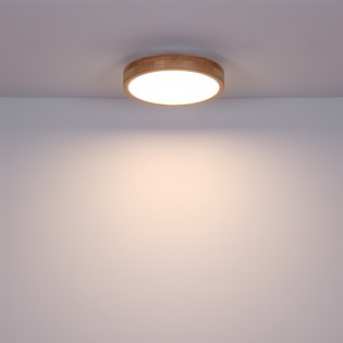 Plafónnier LED Rainer CCT (24W)