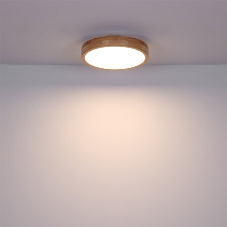 Plafónnier LED Rainer CCT (24W)