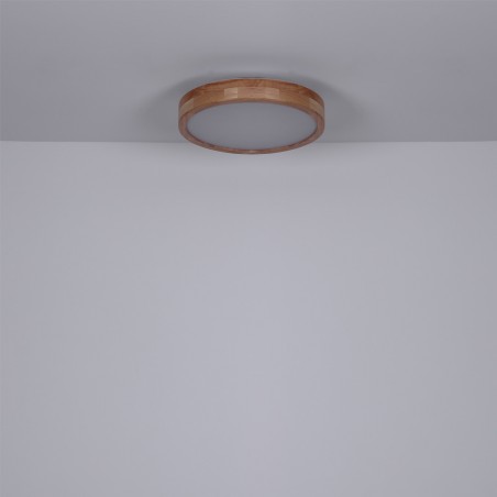 Plafónnier LED Rainer CCT (24W)