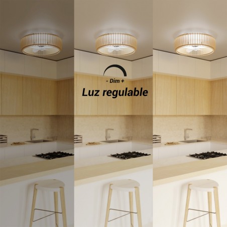 Ventilateur de plafond LED Daya CCT Dim (32W)