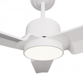 Ventilateur de plafond LED Anne XL CCT Dim (20W)