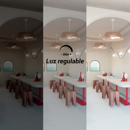 Ventilateur de plafond LED Gema CCT Dim (18W)