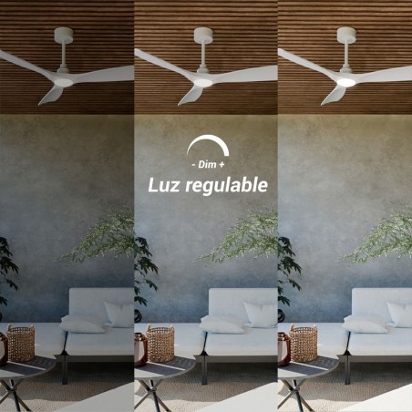 Ventilateur de plafond LED Carla L CCT Dim (21W)