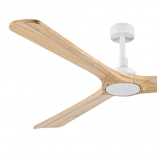 Ventilateur de plafond Rok