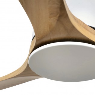 Ventilateur de plafond Kauai XL