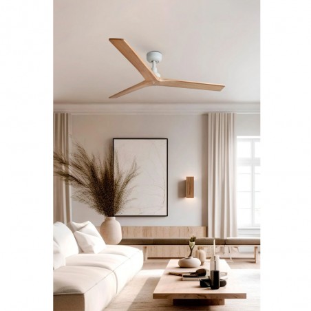 Ventilateur de plafond Klim M
