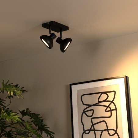 Regletté de plafond Sensas (2 lumieres)