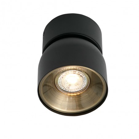 Spot de plafond Pitcher
