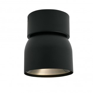 Spot de plafond Pitcher