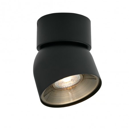 Spot de plafond Pitcher