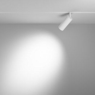 Spot magnétique sur rail Focus LED Exility (12W)