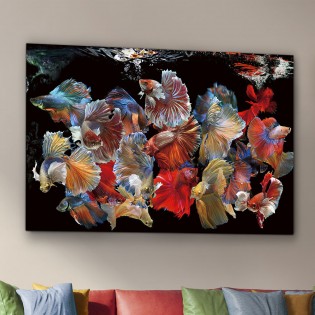 Cadre photo Peces Siam