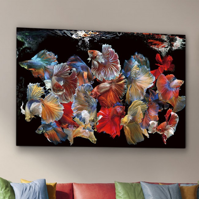 Cadre photo Peces Siam